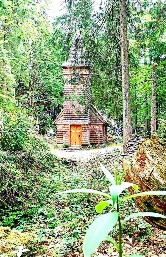 Tauglerei Appartement Bernstein In Den Zauberbergen Sankt Koloman Eksteriør bilde