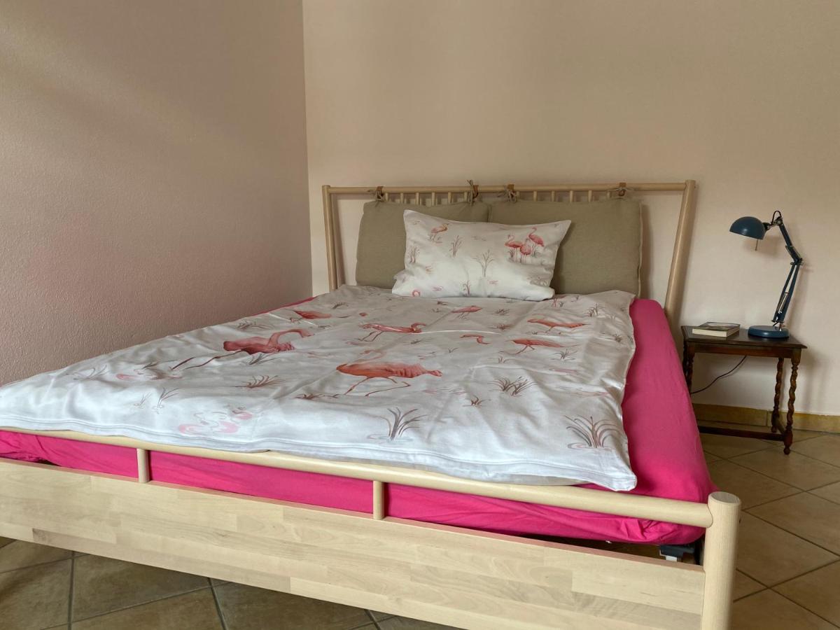 Tauglerei Appartement Bernstein In Den Zauberbergen Sankt Koloman Eksteriør bilde