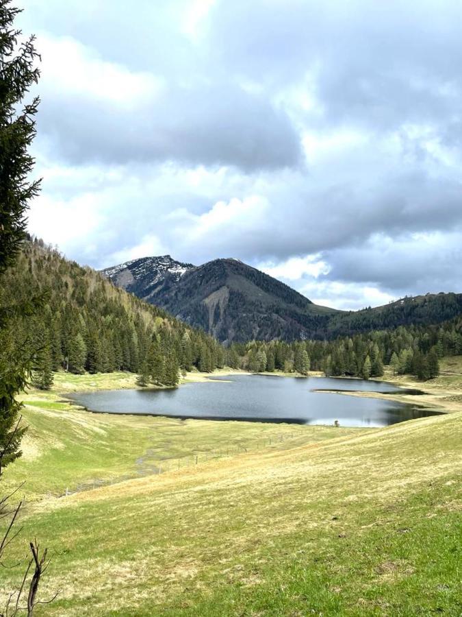 Tauglerei Appartement Bernstein In Den Zauberbergen Sankt Koloman Eksteriør bilde
